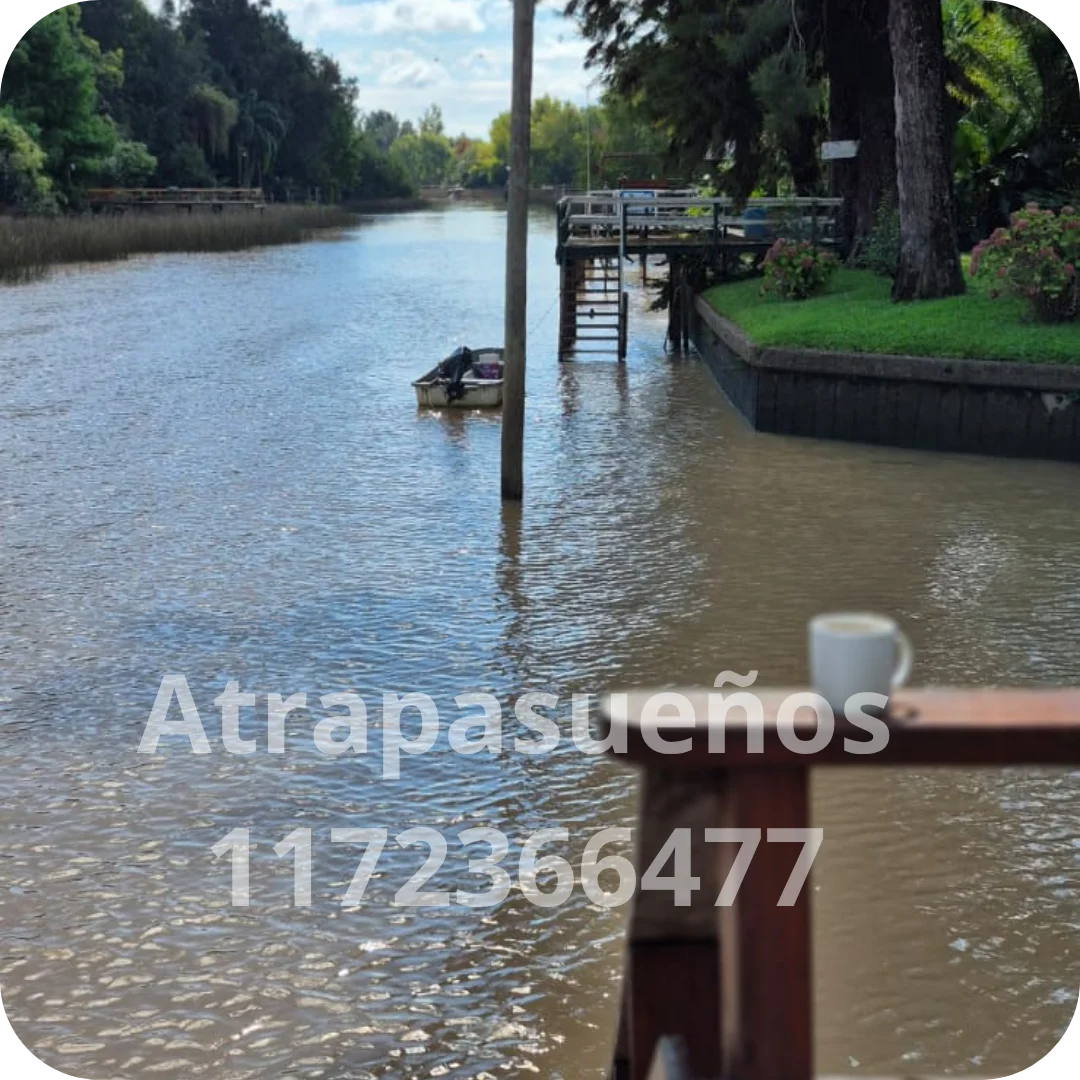El parque y el río - imagen 8